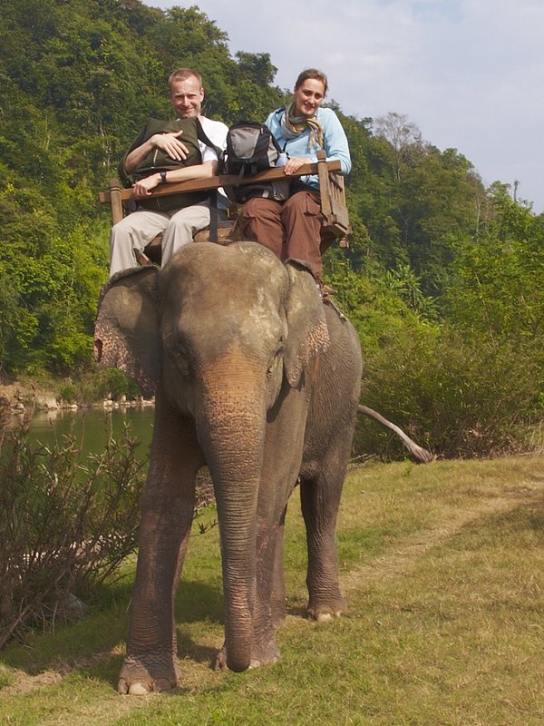 Elephant